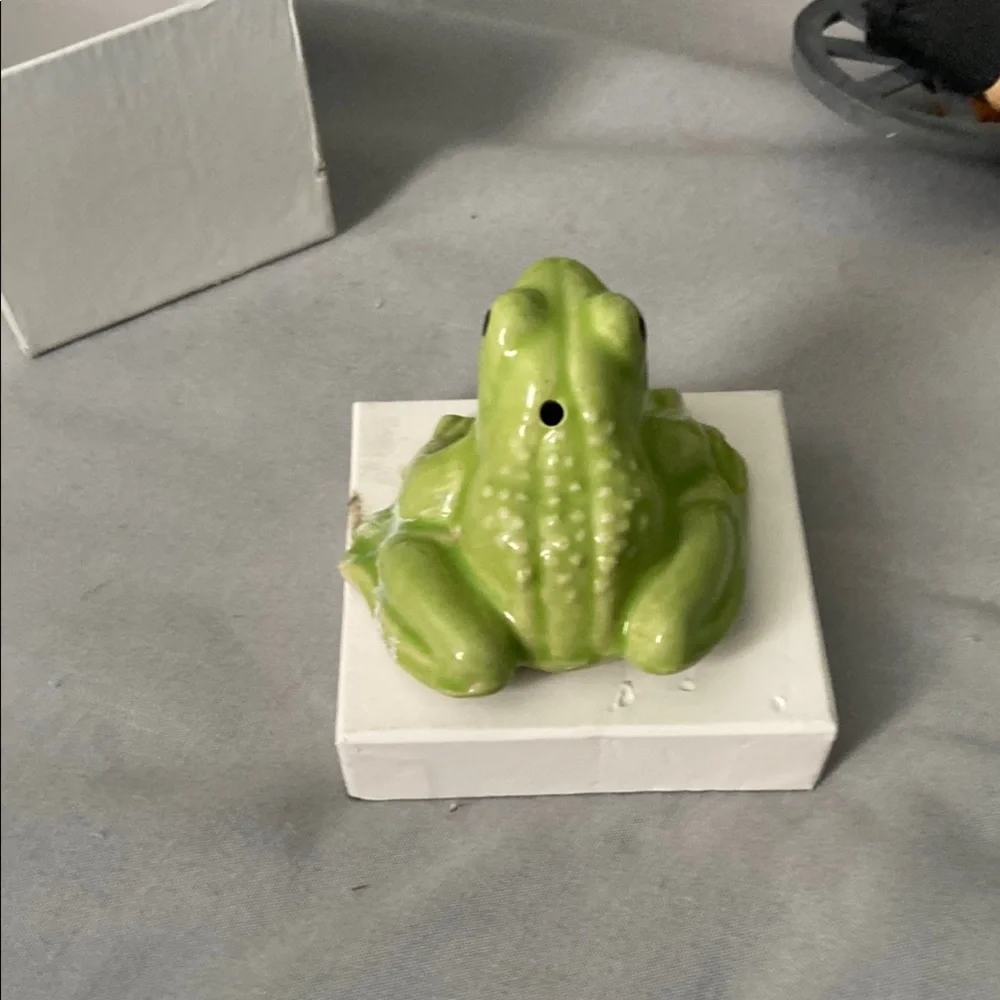 Source Unknown Green Frog Habitat Accessory or Decor. Size 2” x 2”